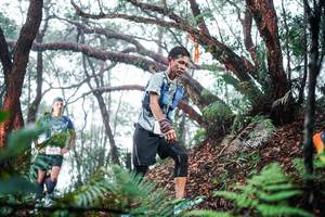 BIB: 
                            <button type="button" onclick="openModal(26295432)" class="btn btn-primary btn-sm float-right btn-popup" data-toggle="modal" data-target=".modal-high-quality">
                        <i class="fas fa-shopping-cart"></i> Add to Cart
                    </button>
                                            <button type="button" onclick="isThisMe(26295432, true)" class="btn btn-success btn-sm float-right btn-popup btn-isme hidden" data-toggle="tooltip" data-placement="bottom" title="นี่คือรูปของคุณใช่ไหม คลิกที่นี่เพื่อเอาเข้าอัลบั้ม">
                        <i class="fas fa-plus"></i> Add to album
                    </button>
                    <button type="button" onclick="isThisMe(26295432, false)" class="btn btn-warning btn-sm float-right btn-popup btn-isnotme hidden">
                        <i class="fas fa-ban"></i> Remove from album
                    </button>